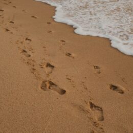 How to lead your family to wellness